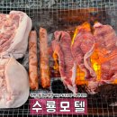 수룡모텔 네이버블로그