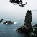 제주 서귀포 외돌개 이미지