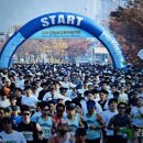 제14회 2023 인천 송도 국제 마라톤 대회 이미지