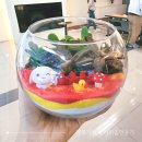 꿈나무사회복지관 행복숲 | 분당종합사회복지관 가족소통 화합프로그램 힐링원예수업 행복가득 테라리움만들기