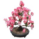 동보공인중개사사무소 이미지