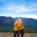 지니스테이 | 보은 법주사 템플스테이 : 108배와 수정봉 등반, 알찬 체험형 후기