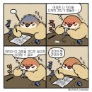 엠스텁엠스텁세컨홈학원 | 벼락치기증후군
