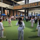 파인태권도장 이미지