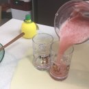 홍쥬스컵 네이버블로그