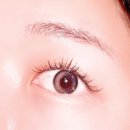 천리안안경 이미지