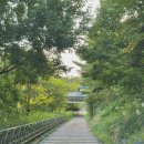 서래로10길 26 (3) 이미지