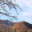 고천리마을회관 이미지