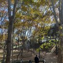 용산-이촌-185 | [아이랑 서울여행] 국중박 옆 가을 산책, 용산가족공원