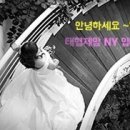 야베스유통