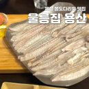 봄집 | [용산 횟집] 제철 봄도다리회 맛집, 용리단길 울릉집 웨이팅 후기