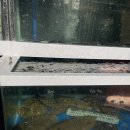 광주횟집 | 광주 횟집 추천 회송송초장탁 솔직후기