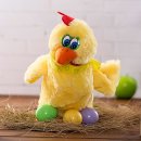 조이애견 이미지