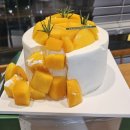 망고큐 | 대구 신세계백화점 디저트 맛집 시즈니크(SEASONIQUE) 망고 케이크🎂 솔직 후기