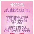 오늘은 선물 이미지