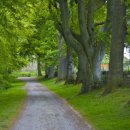 공원펜션 이미지