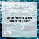 닥터오케이의원 | 내 치아 고민, 이제 찐으로 해결각 잡았다!