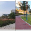 공단헬스 이미지