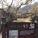 [jobeo] 님 주최 광양매화마을 여행번개 후기 입니당~ 이미지