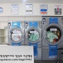 성안세탁