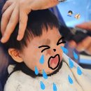 더숲 | 청주 돌 전 아기 미용실 커트 추천, 살롱더숲 내돈내산 후기(8개월 남자아기 커트)