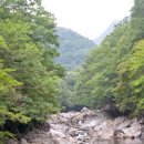 덕산목장 이미지