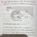 4권 27장 면역계 12번 이미지