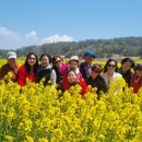 고고난타 장구 이미지