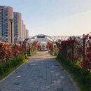 여미지공인중개사사무소 이미지