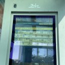 좌가연대 | 제주 올레길 추천 20코스 인생 처음 완주 후기 / 김녕 월정리 세화 해수욕장
