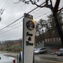 씨앤트리 이미지