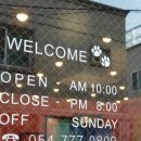 멍냥이발소 이미지