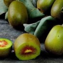 광화문상회 이미지