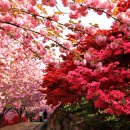 완산-23 이미지