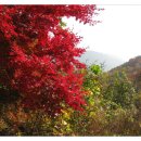 각화저수지 이미지