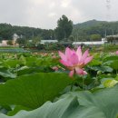 내동마을 이미지