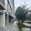 호탕종 | 세종 한솔동 빵집 『호탕종』