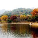 유스호텔 진입로  유스호텔 이미지