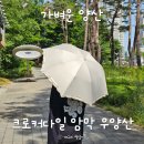 가벼운 양산 드디어 정착! 크로커다일 하트 자수 암막 우양산 아이보리 후기