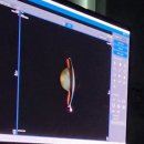 눈이튼튼 동물병원 이미지