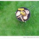 자연을 닮은 집 이미지