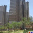 용호공인중개사사무소 이미지