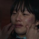 연진화분 이미지