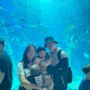 굼부리식당 | 27개월 아기랑 제주도 5박6일 여행 - 4일차(서귀포 흑돼지불고기 맛집 굼부리 식당, 제주 아쿠아플라넷)