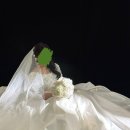 지정12 | 드레스샵 르블랑 지정 #12, 촬영 당일 드레스 후기 (지정혜택 공유✔️)