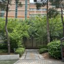 중앙전자세탁소 | 동탄역센트럴푸르지오 임장 후기｜요즘 동탄에서 가장 뜨거운 아파트