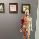 예손지압안마원 이미지