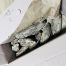 대세2농장 이미지