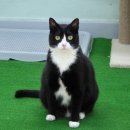 소래로669번길 이미지