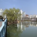 안흥초 사거리 이미지